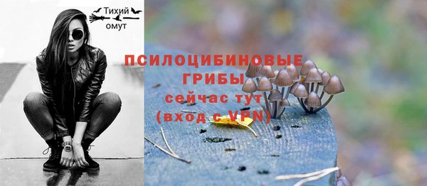 spice Медвежьегорск