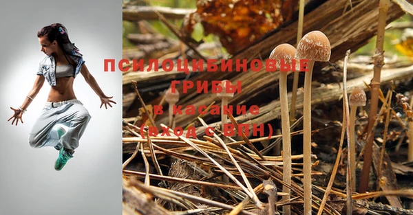 меф Медногорск