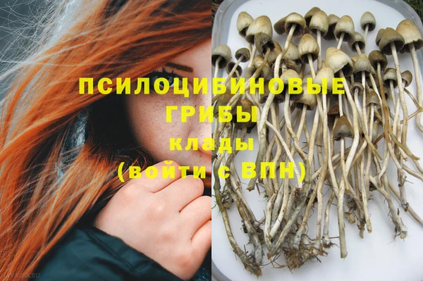 меф Медногорск