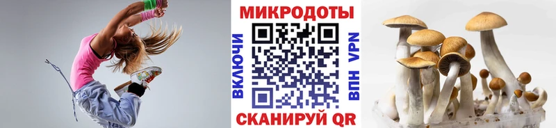 Галлюциногенные грибы ЛСД  Купить где  Анадырь 